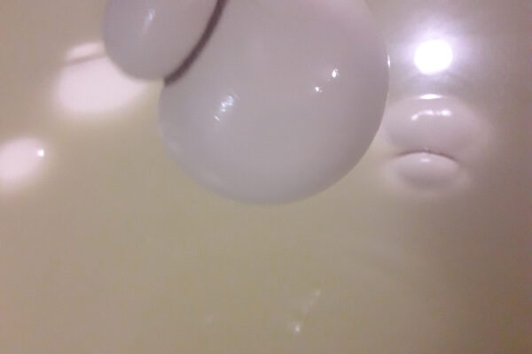 20170504_14242